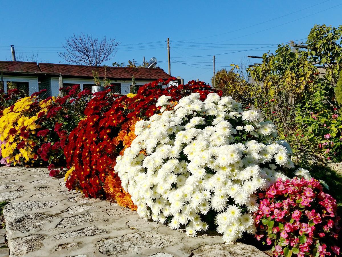 Kosta Bungalows Bŭlgarevo Buitenkant foto